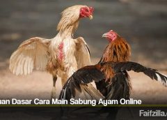 Panduan Dasar Cara Main Sabung Ayam Online